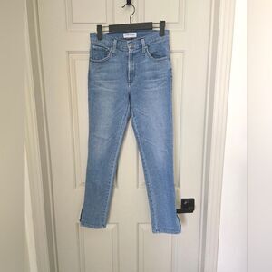James jeans high class skinny ankle size 29